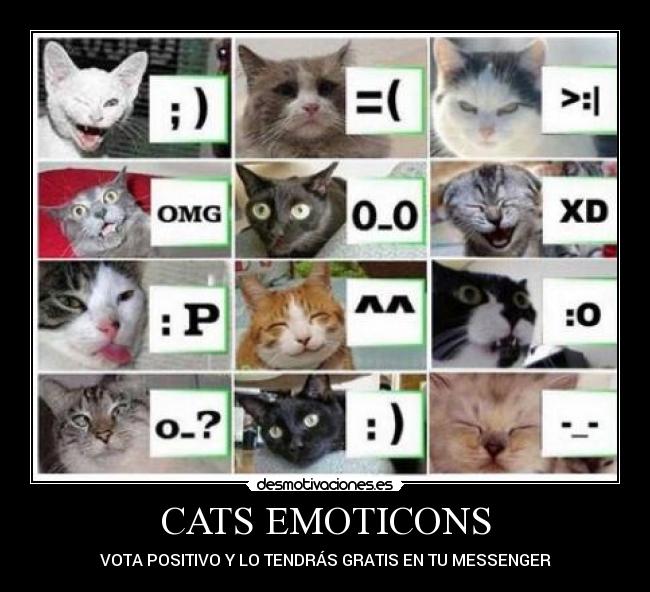 CATS EMOTICONS -