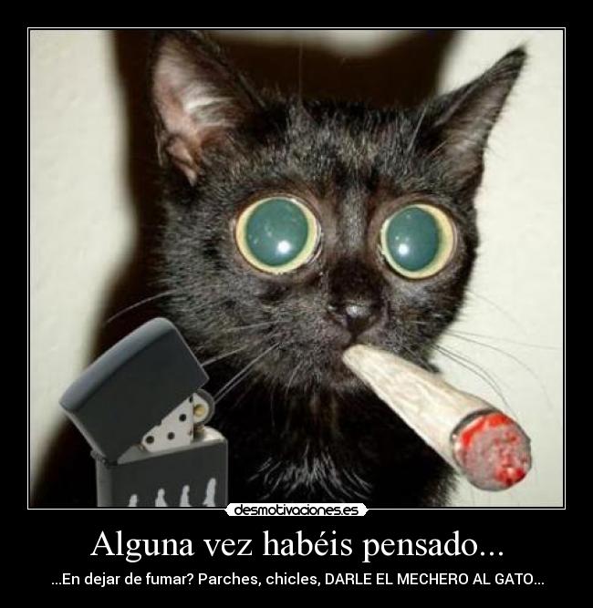 Alguna vez habéis pensado... - 