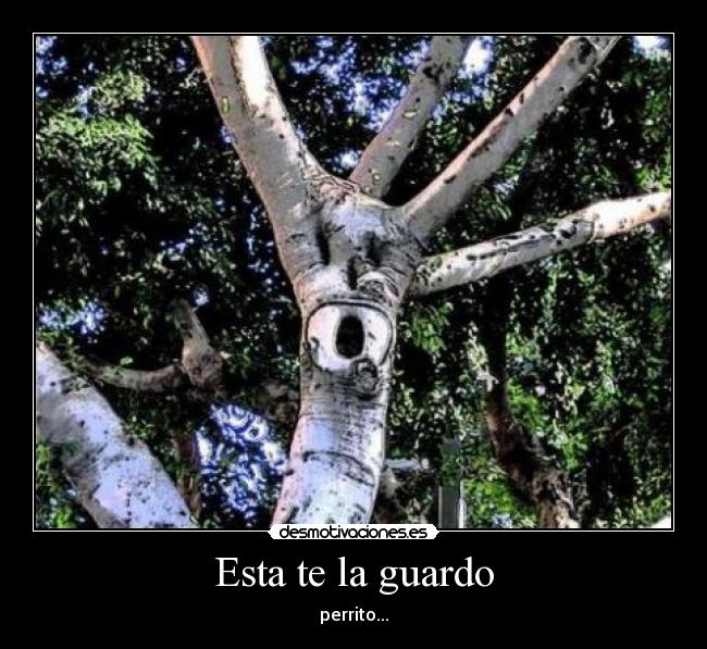 Esta te la guardo - perrito...