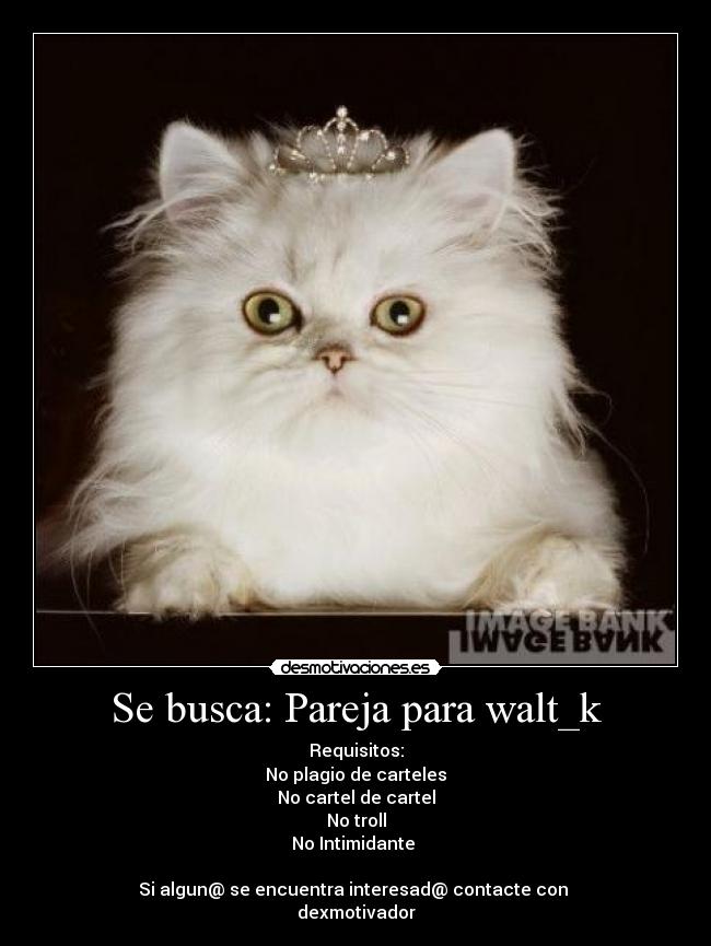Se busca: Pareja para walt_k -