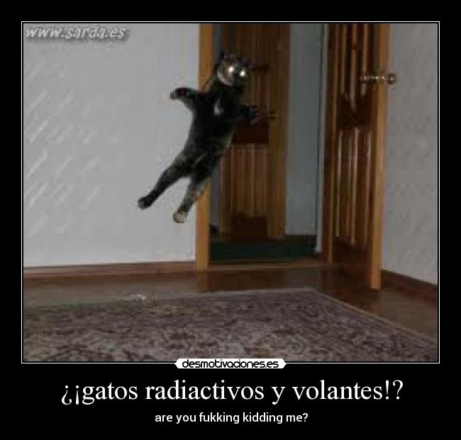 ¿¡gatos radiactivos y volantes!? - 
