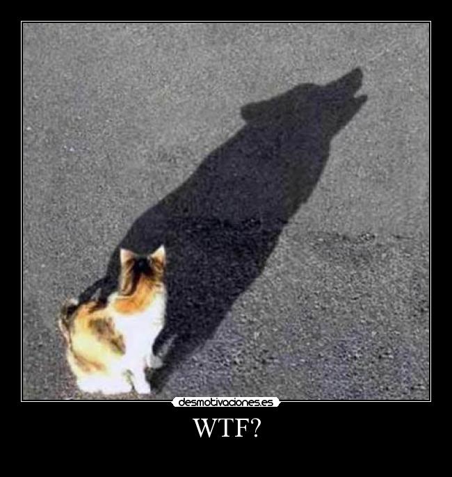 WTF? -