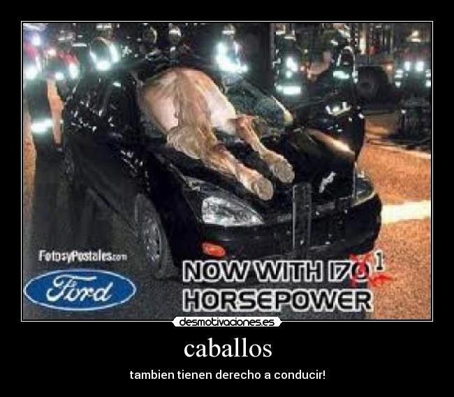 caballos -