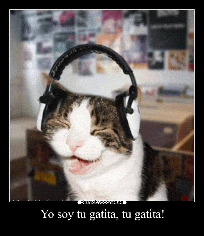 Yo soy tu gatita, tu gatita! -