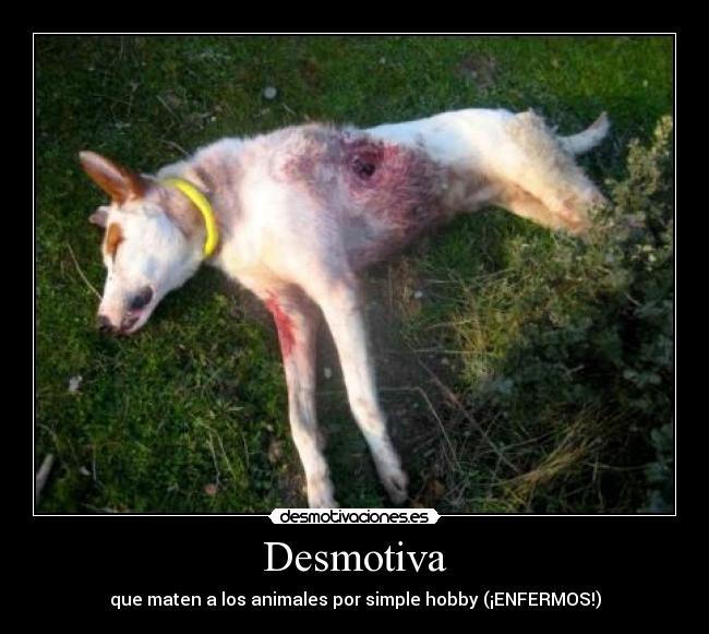 Desmotiva - que maten a los animales por simple hobby (¡ENFERMOS!)