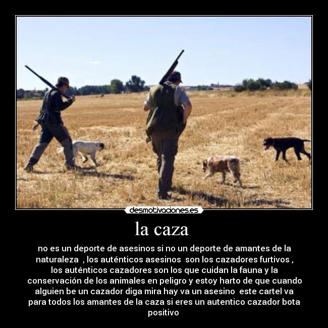 la caza  - no es un deporte de asesinos si no un deporte de amantes de la
naturaleza  , los auténticos asesinos  son los cazadores furtivos ,
los auténticos cazadores son los que cuidan la fauna y la
conservación de los animales en peligro y estoy harto de que cuando
alguien be un cazador diga mira hay va un asesino  este cartel va
para todos los amantes de la caza si eres un autentico cazador bota
positivo 