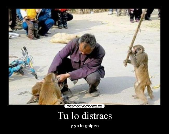Tu lo distraes - 