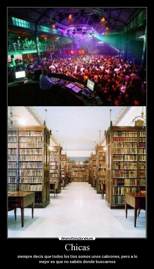 carteles chui desmotivaciones