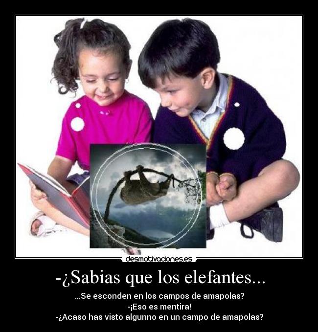 -¿Sabias que los elefantes... -
