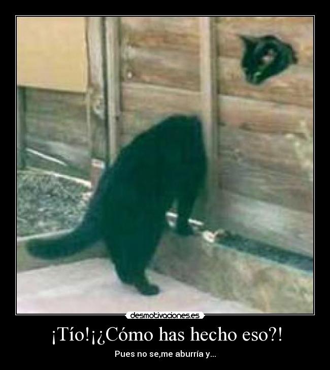 ¡Tío!¡¿Cómo has hecho eso?! -