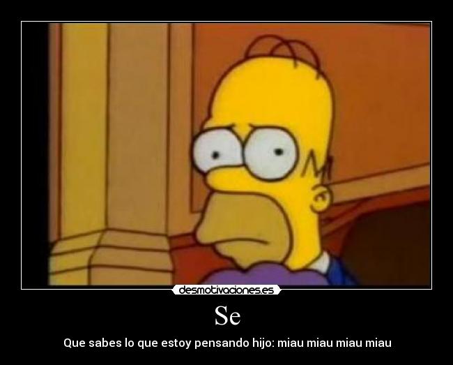 Se - Que sabes lo que estoy pensando hijo: miau miau miau miau