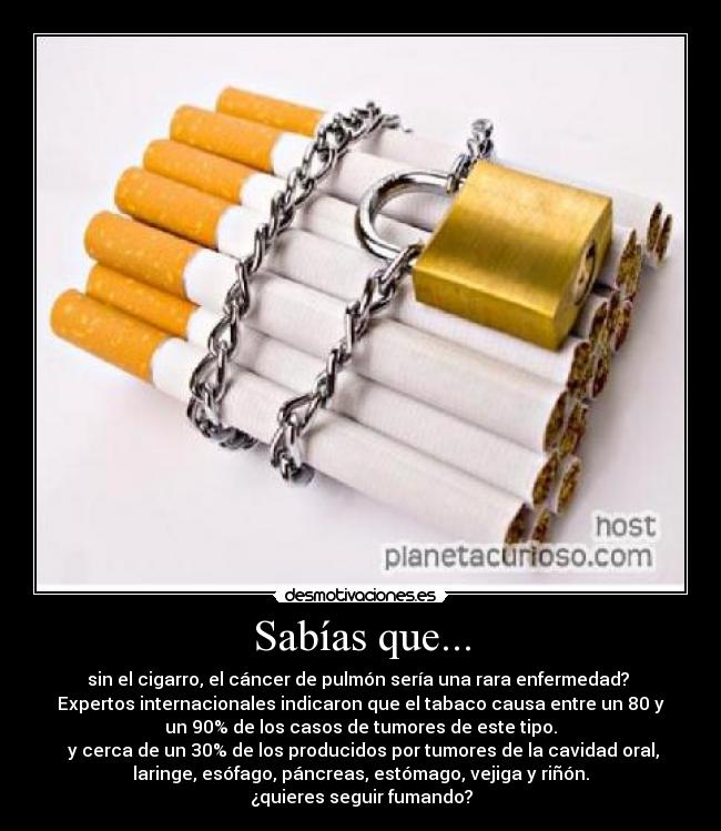 Sabías que... - sin el cigarro, el cáncer de pulmón sería una rara enfermedad? 
Expertos internacionales indicaron que el tabaco causa entre un 80 y
un 90% de los casos de tumores de este tipo.
 y cerca de un 30% de los producidos por tumores de la cavidad oral,
laringe, esófago, páncreas, estómago, vejiga y riñón.
¿quieres seguir fumando?