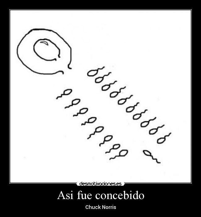Asi fue concebido -