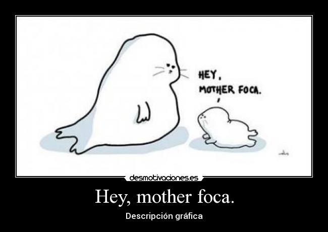 Hey, mother foca. - 