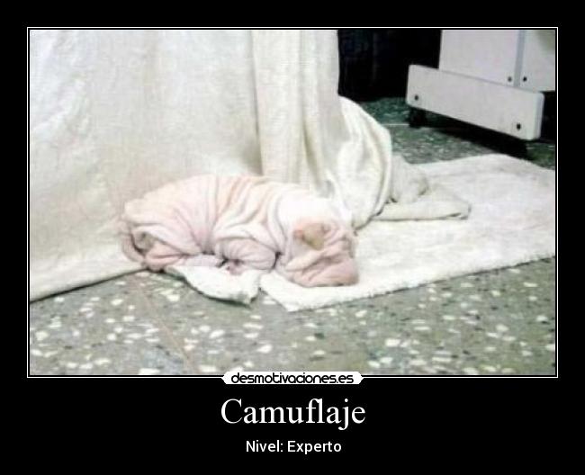 Camuflaje -