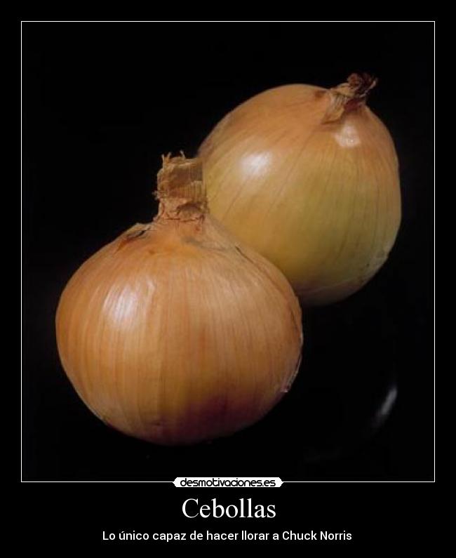 Cebollas - Lo único capaz de hacer llorar a Chuck Norris 