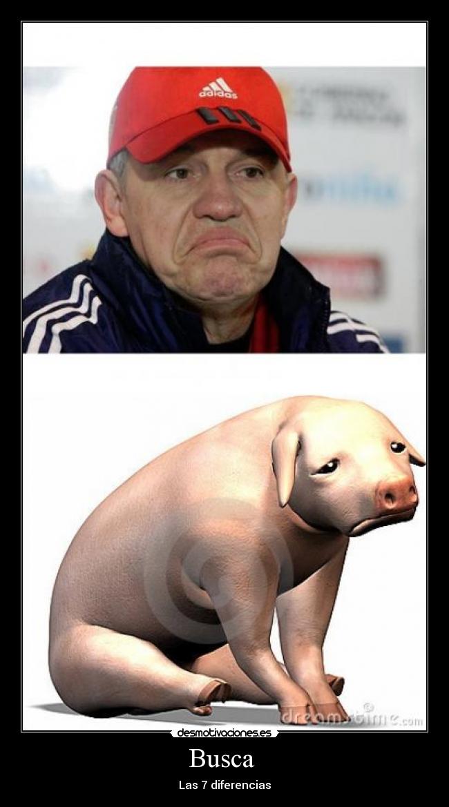 carteles javier aguirre desmotivaciones