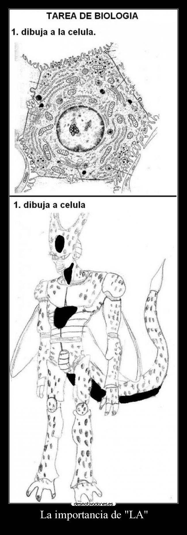 La importancia de LA -