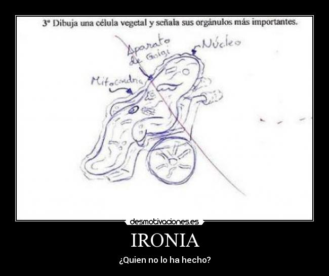 IRONIA - 