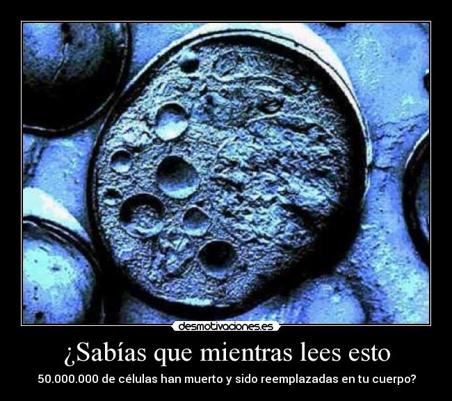 ¿Sabías que mientras lees esto -