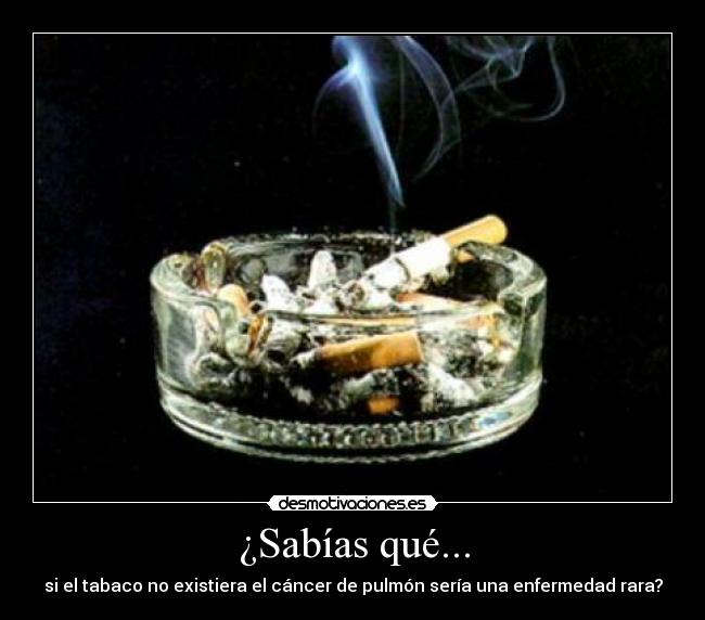 ¿Sabías qué... - 
