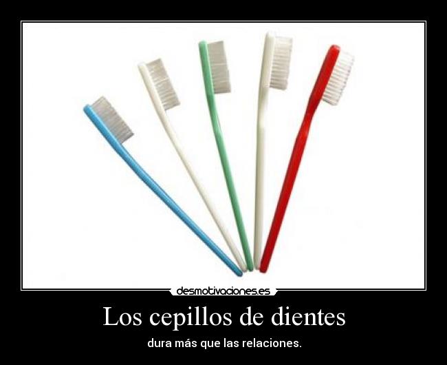 Los cepillos de dientes - 