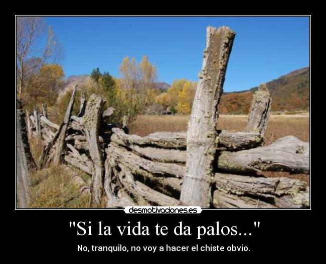 Si la vida te da palos... - No, tranquilo, no voy a hacer el chiste obvio.