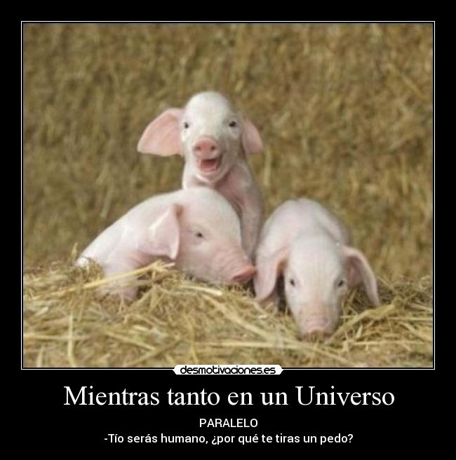 Mientras tanto en un Universo - PARALELO
-Tío serás humano, ¿por qué te tiras un pedo?
