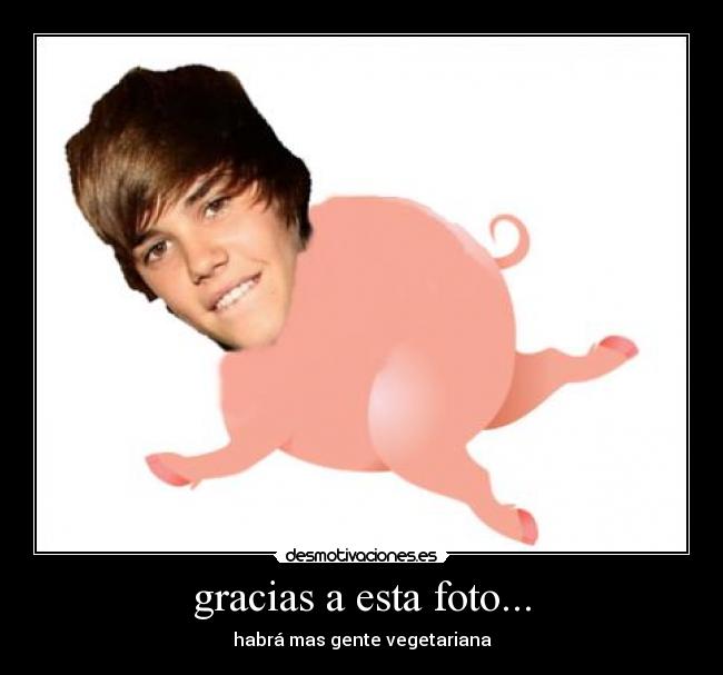 gracias a esta foto... - 