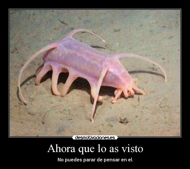 carteles ahora que has desmotivaciones