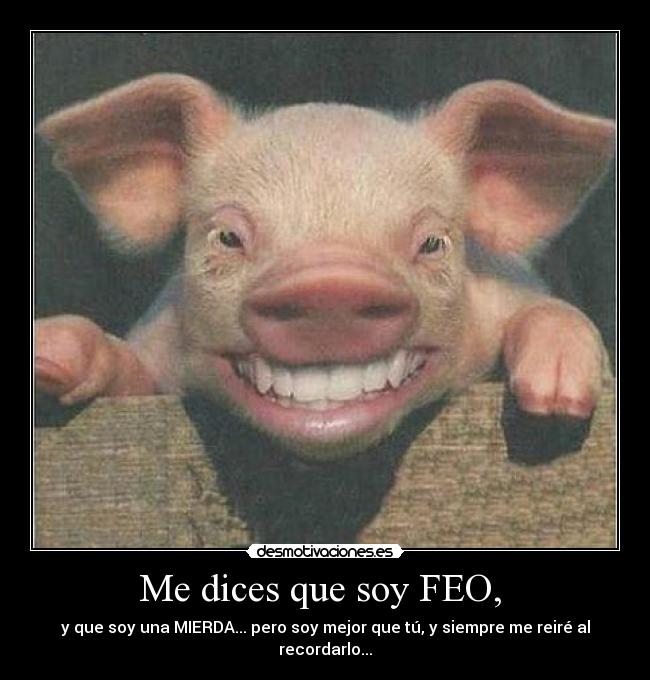 Me dices que soy FEO,  - 