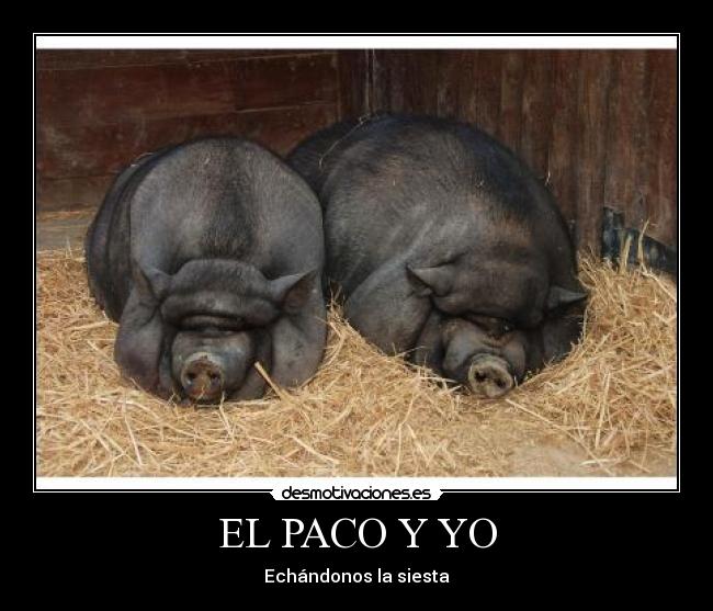 EL PACO Y YO -