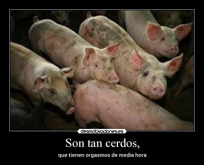 Son tan cerdos, - que tienen orgasmos de media hora