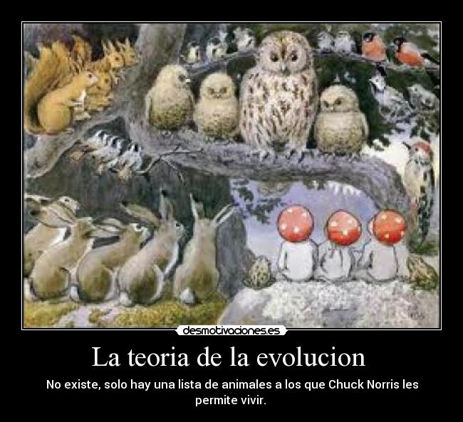 La teoria de la evolucion - No existe, solo hay una lista de animales a los que Chuck Norris les permite vivir.