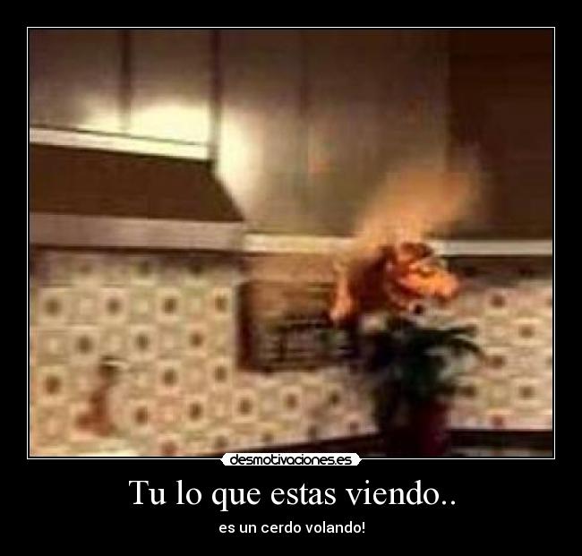 Tu lo que estas viendo.. -