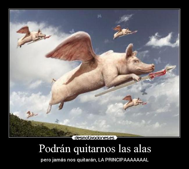 Podrán quitarnos las alas - pero jamás nos quitarán, LA PRINCIPAAAAAAAL