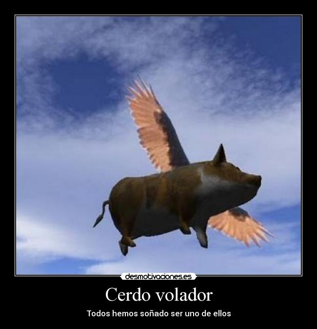 Cerdo volador - Todos hemos soñado ser uno de ellos