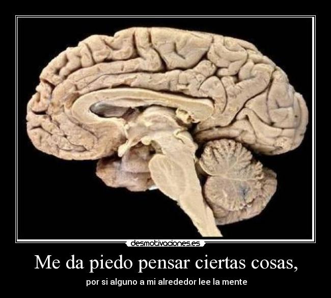 Me da piedo pensar ciertas cosas, - por si alguno a mi alrededor lee la mente