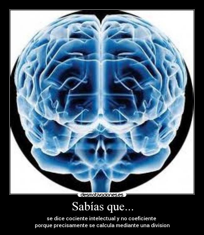 carteles cociente intelectual desmotivaciones