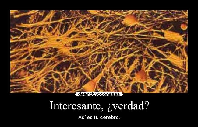 Interesante, ¿verdad? - Así es tu cerebro.
