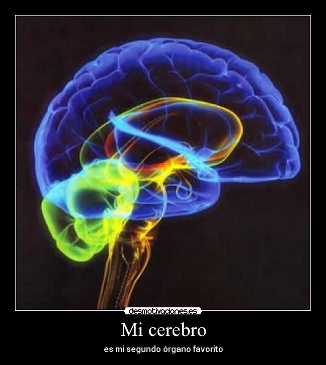 Mi cerebro -