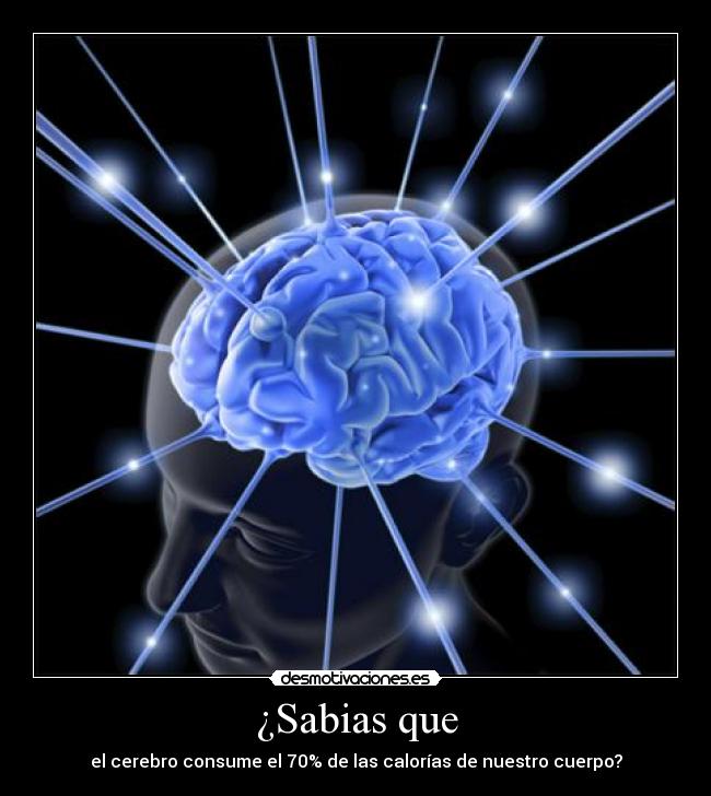 carteles cerebro desmotivaciones