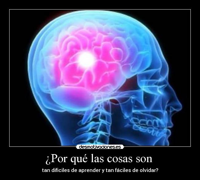 carteles por que las cosas son desmotivaciones