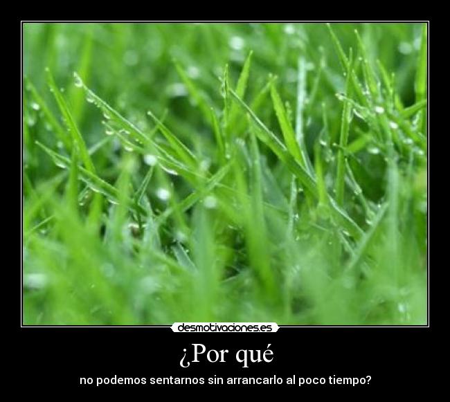 ¿Por qué - no podemos sentarnos sin arrancarlo al poco tiempo?