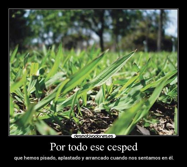 Por todo ese cesped - que hemos pisado, aplastado y arrancado cuando nos sentamos en él.