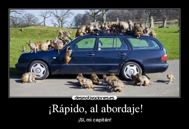 ¡Rápido, al abordaje! - 