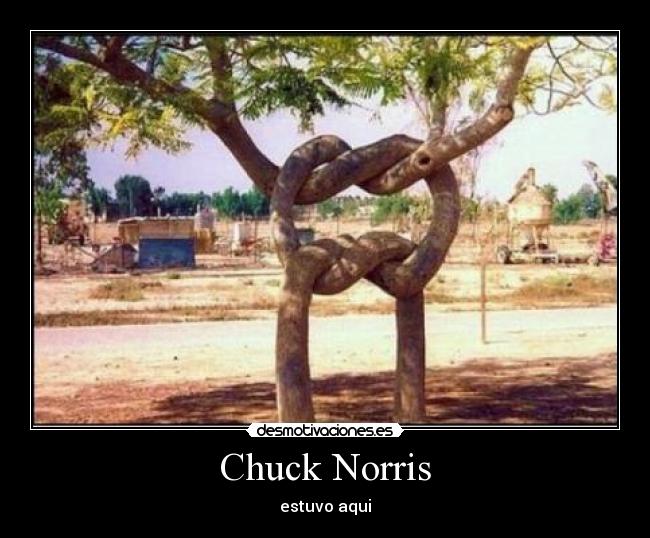 Chuck Norris - estuvo aqui
