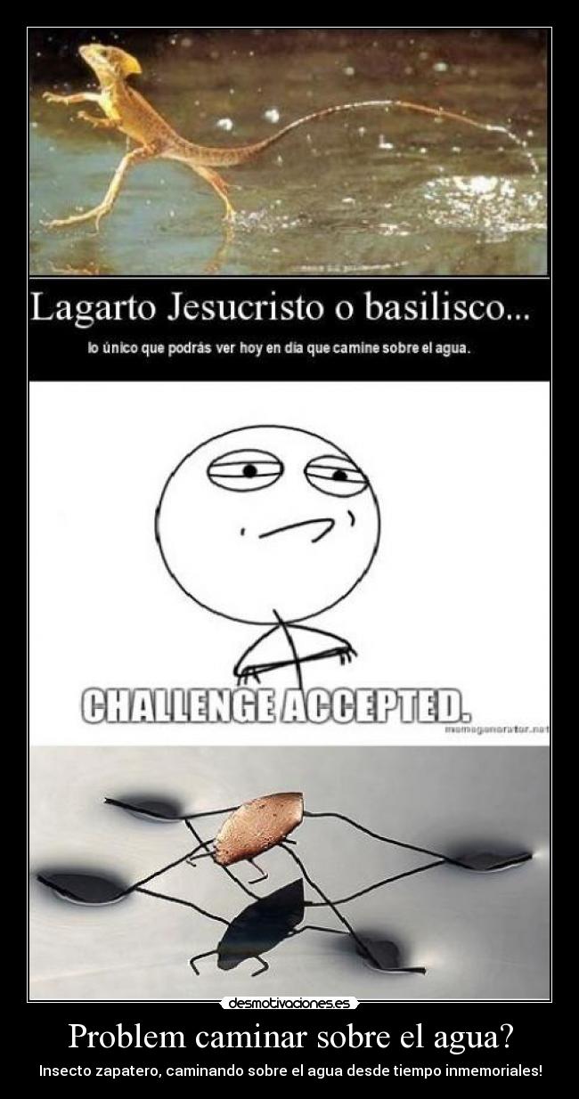 Problem caminar sobre el agua? -