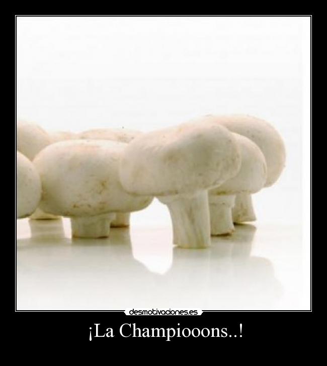 ¡La Champiooons..! -