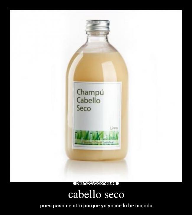 cabello seco -